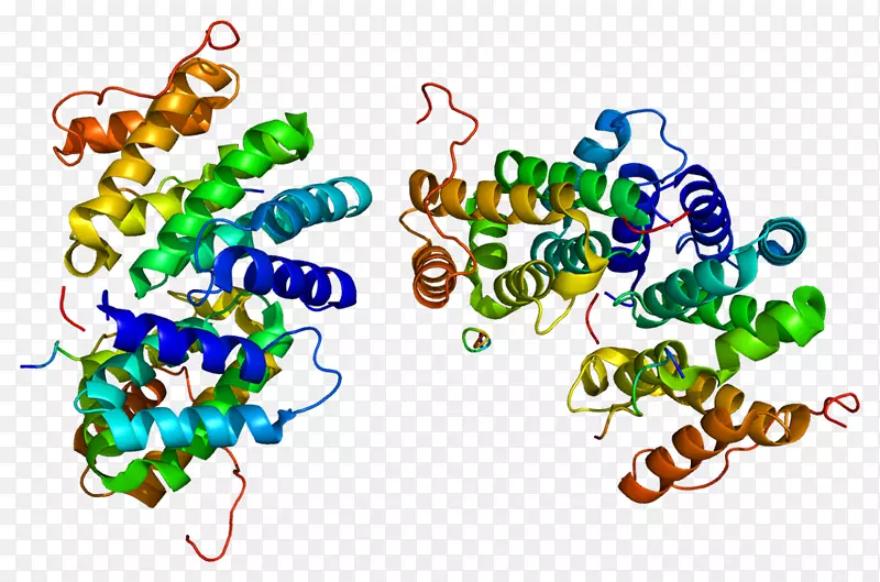 SENP 1 gga 3相扑蛋白酶-酶