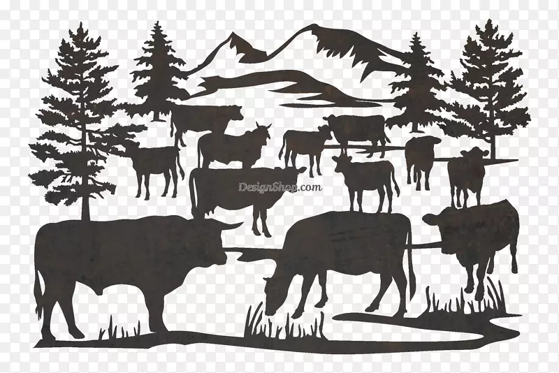 牛野生动物-公牛