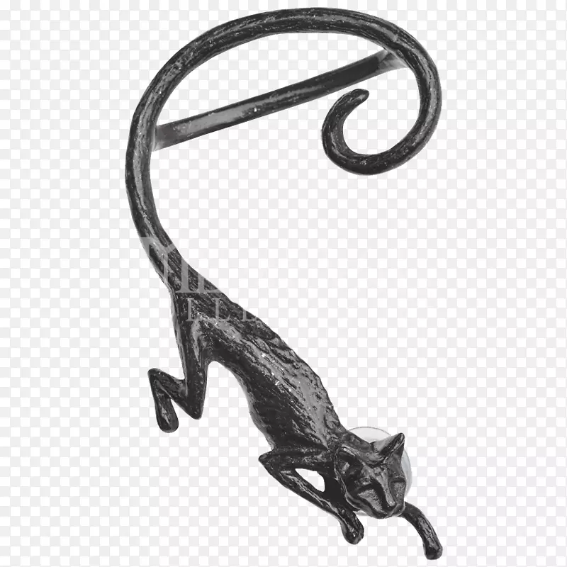 猫的第二只耳环小猫黑猫