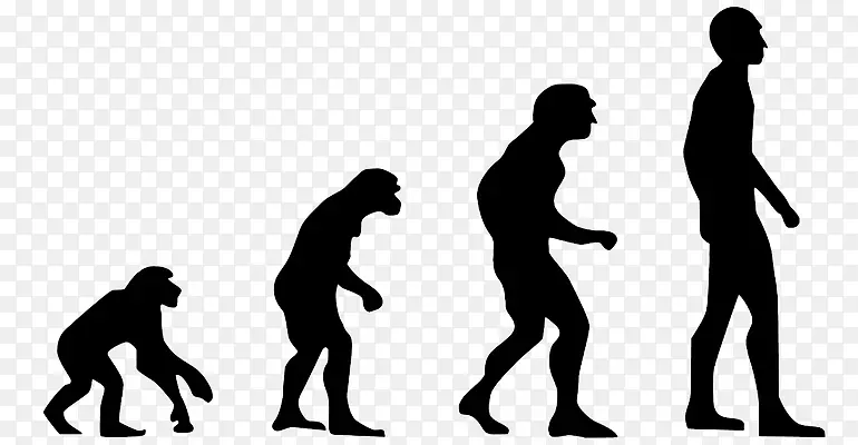 人类进化2.0：打破达尔文和设计智人之间的僵局