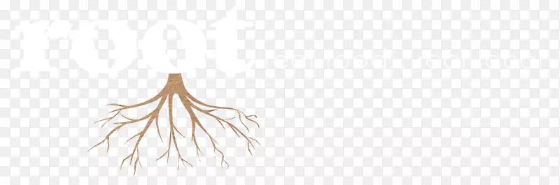 树线艺术体饰品字体-植物的根部