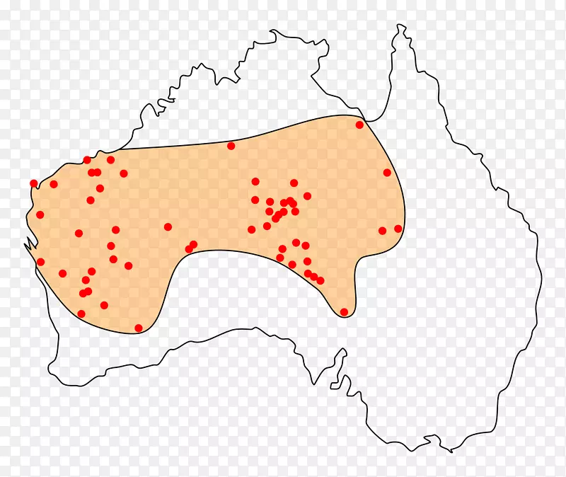 澳大利亚土著人多西文明：短短的历史野狗-澳大利亚