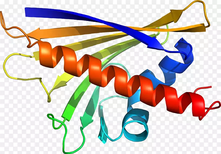 线点生物剪贴画线