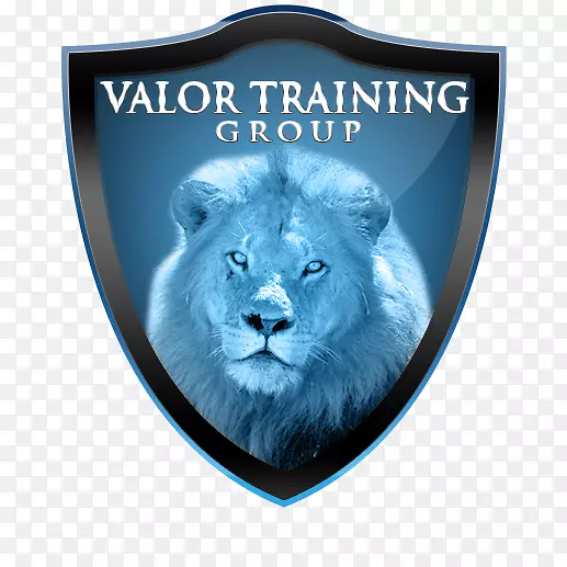 专业Baloo培训-团体培训