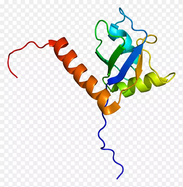 单链结合蛋白sj gren综合征抗原b