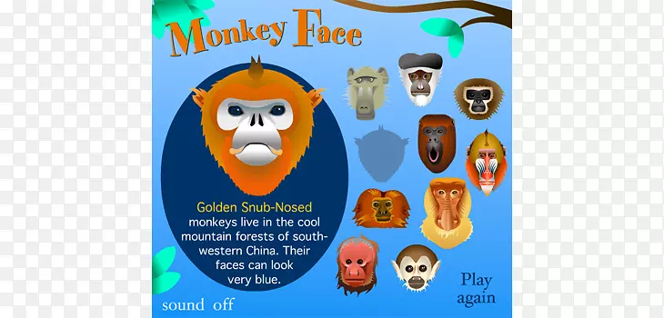 海报图案设计横幅-猴子脸