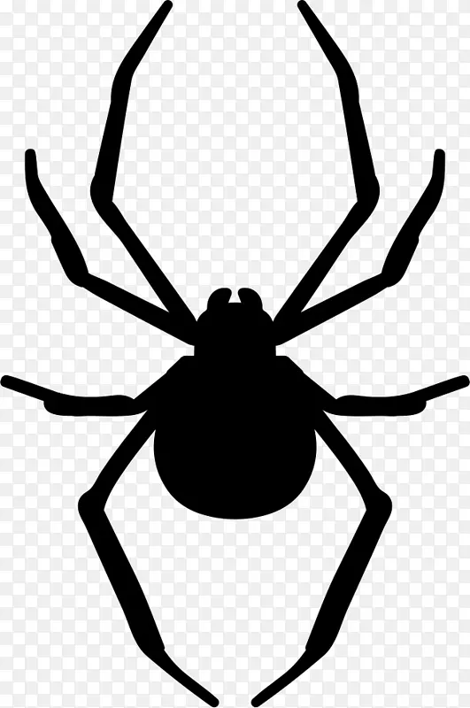 模板蜘蛛艺术-蜘蛛