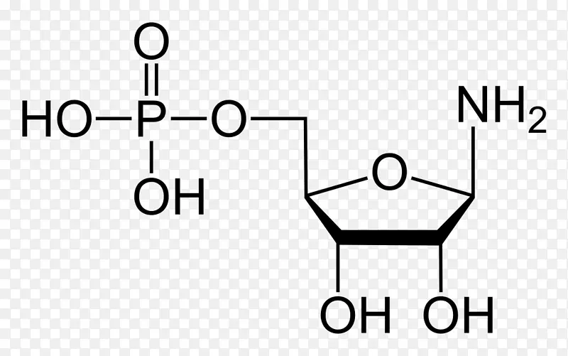 磷酸焦磷酸磷核糖-磷酸二磷酸激酶