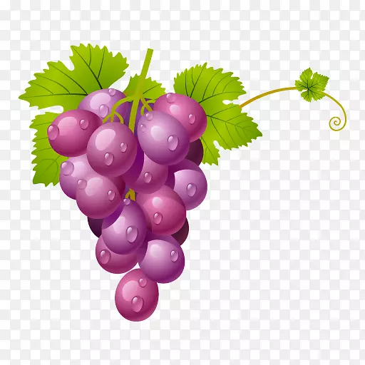 葡萄剪贴画-葡萄