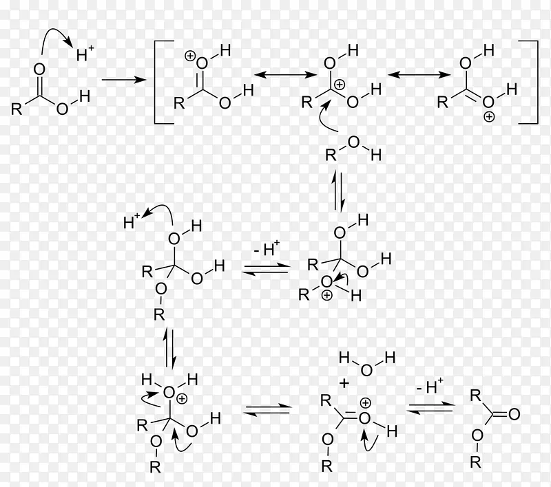 费舍尔-斯皮尔酯化酸催化化学反应-其它反应