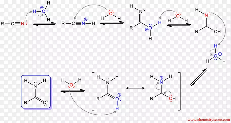 腈酸水解羧酸