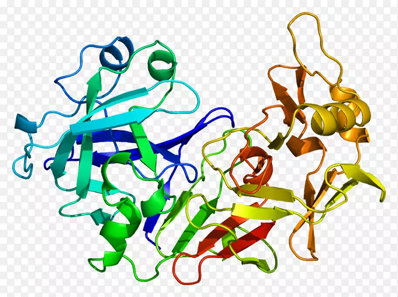 胃蛋白酶原pga 5蛋白肽抑素