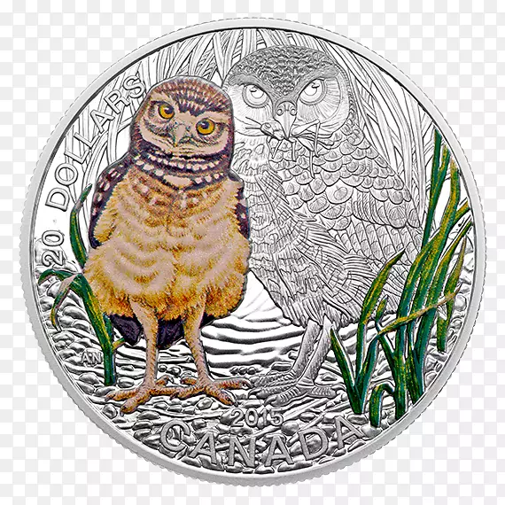 加拿大皇家铸币银猫头鹰