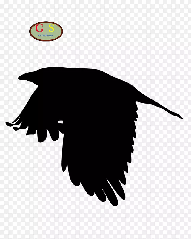 红翅黑鸟：每一个生物的电：一个女人和阿斯伯格的乌鸦一起行走，普通的黑鸟。