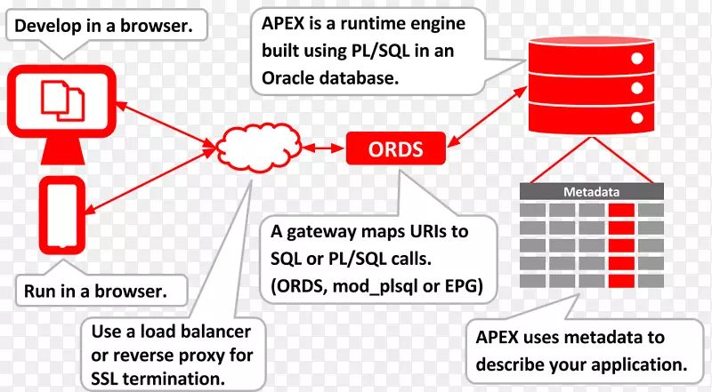 Oracle数据库SQL基础Oracle应用程序表示Oracle公司pl/sql