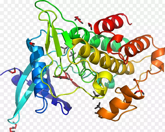 map3k7丝裂原活化蛋白激酶-酶