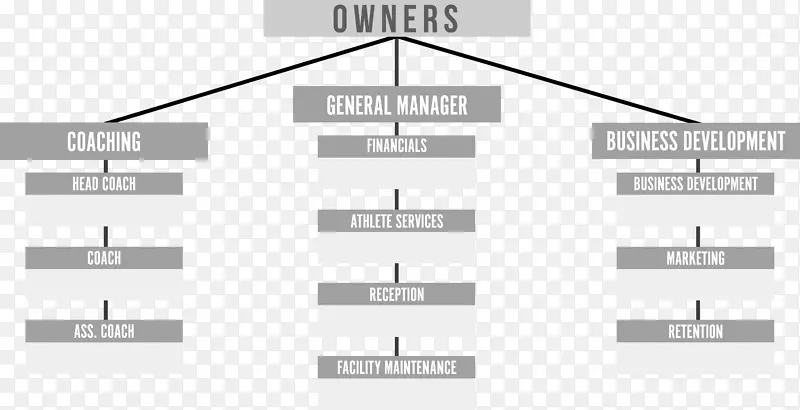 企业组织结构-企业结构