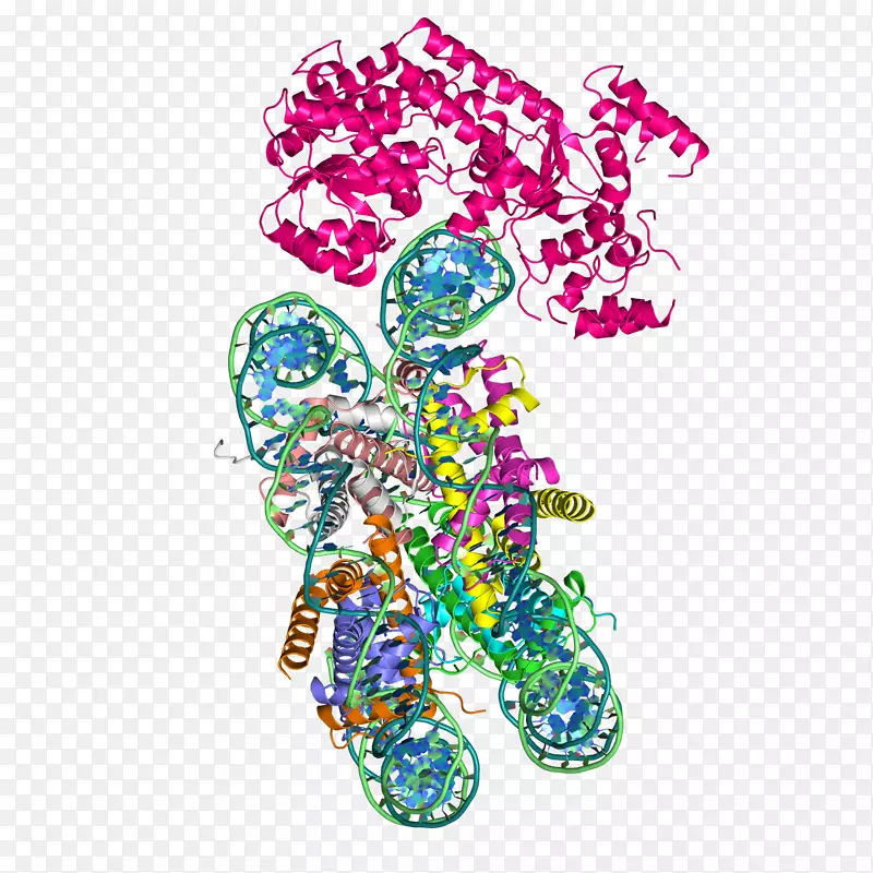 Swi/SNF染色质结构重构(RSC)复合染色质重塑核小体蛋白结构域