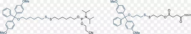 硫醇寡核苷酸磷酰胺二硫化学合成-其它