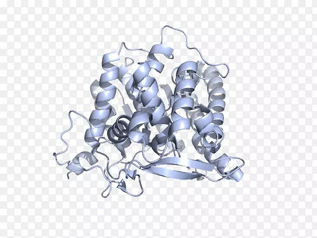 生物字体-脂肪酸延伸途径