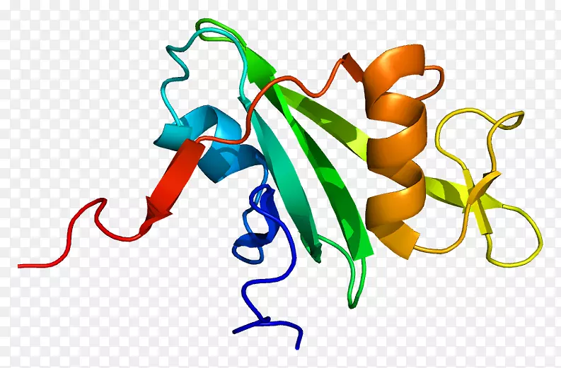 bcr-abl酪氨酸激酶抑制剂费城染色体蛋白癌基因