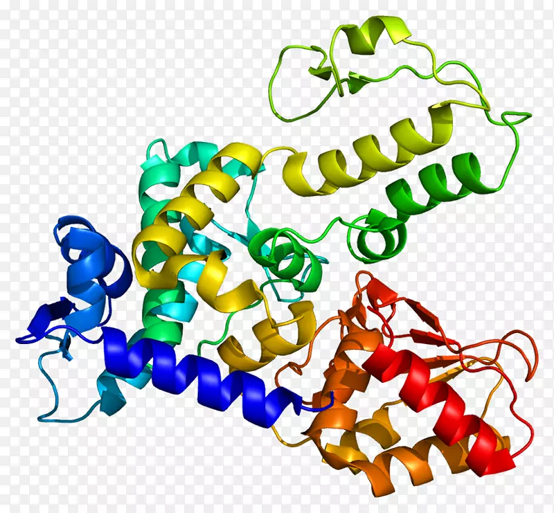 wwp 1 nedd4泛素连接酶蛋白剪贴画