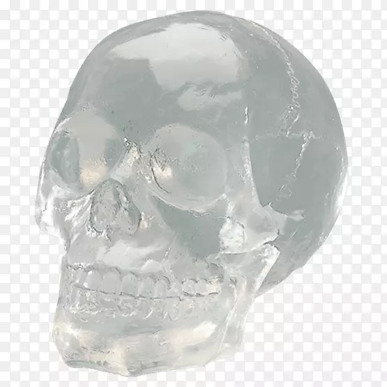 颅骨透明半透明颌骨玻璃头骨雕像
