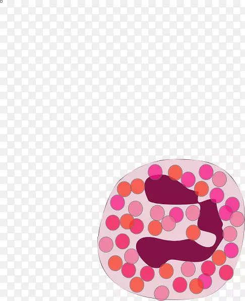 圆点圆柱形粉红m字型血细胞