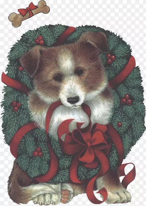 犬种小狗爱圣诞饰品-小狗