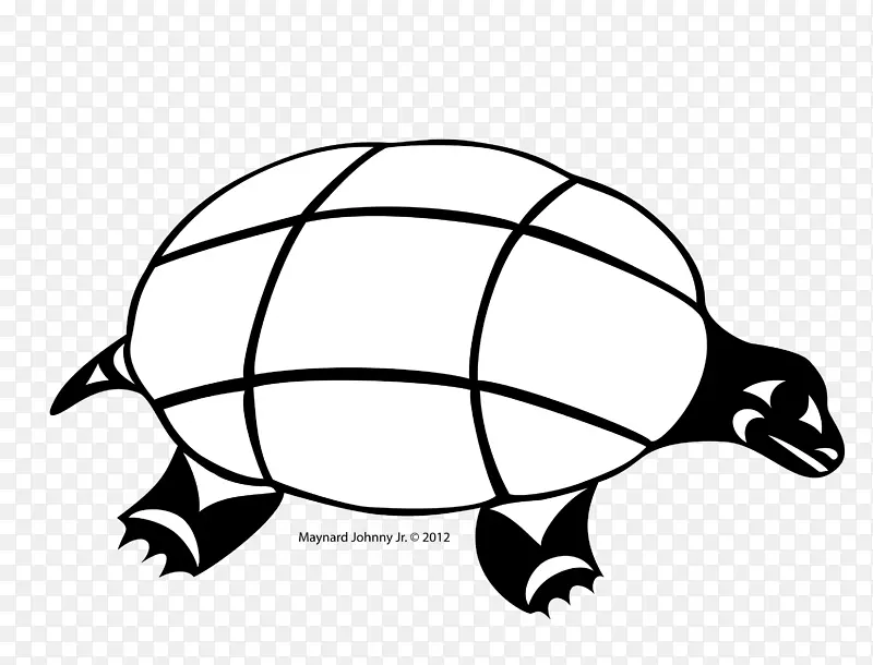 海龟灰狼爬行动物海龟