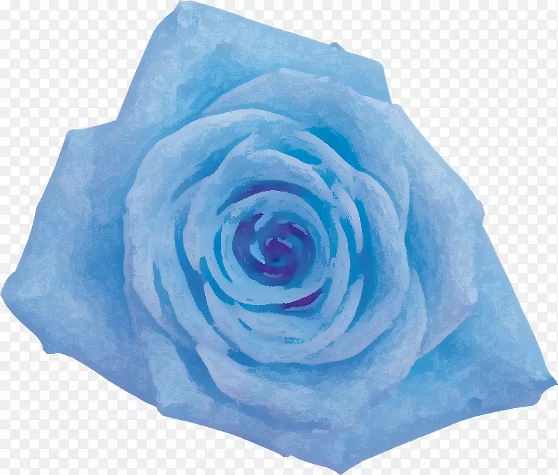 蓝玫瑰花园玫瑰卷心菜切花