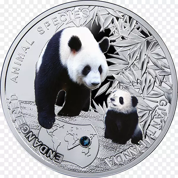 大熊猫濒危物种银币大熊猫