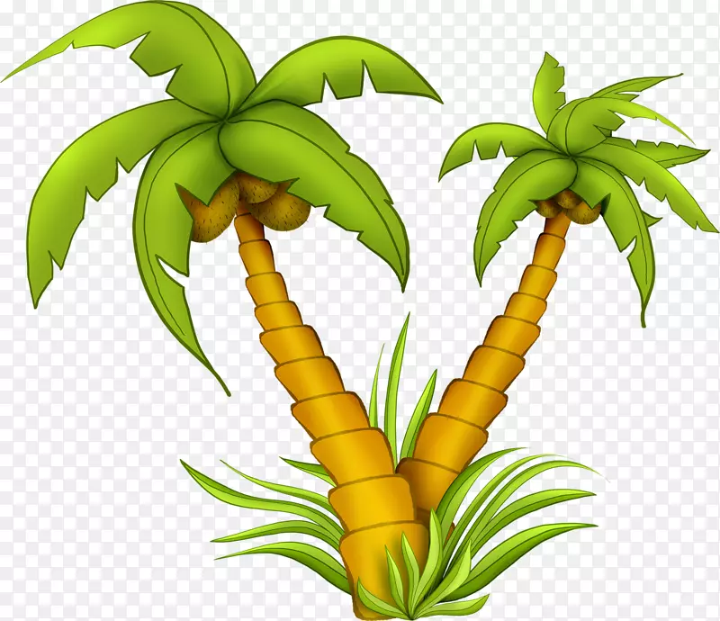 椰子树绘制-椰子