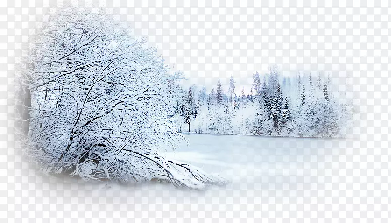冬季桌面壁纸摄影雪夹艺术.雪景