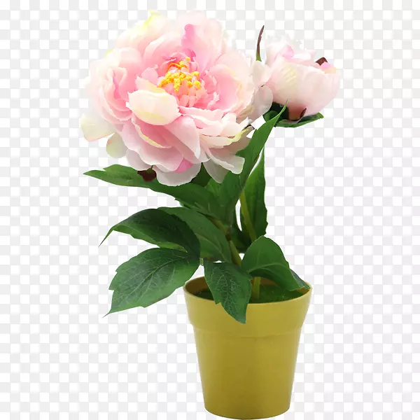 花卉设计切花花瓶花束红牡丹