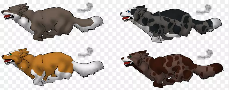 狗猫区系