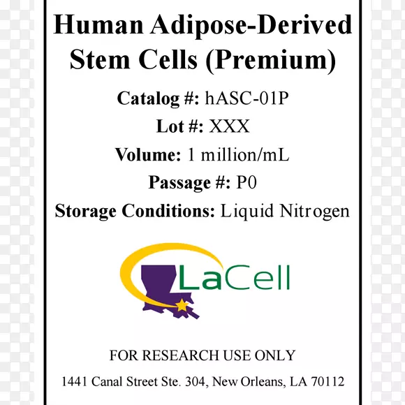 文件干细胞有机体系脂肪细胞