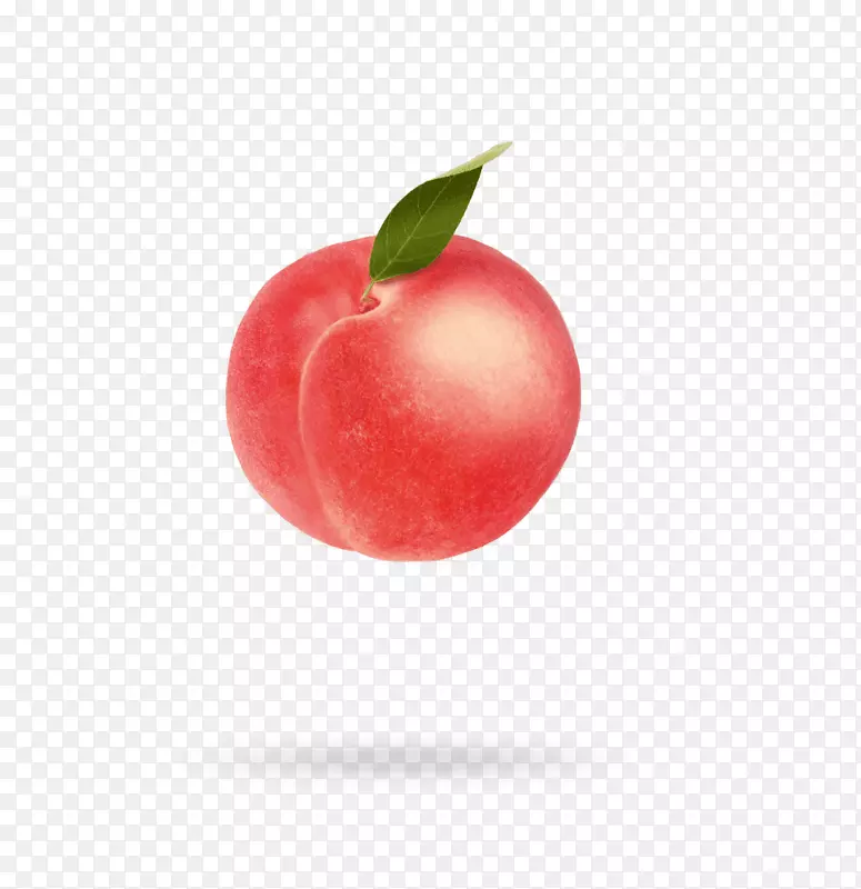 巴巴多斯樱桃超食品桃子