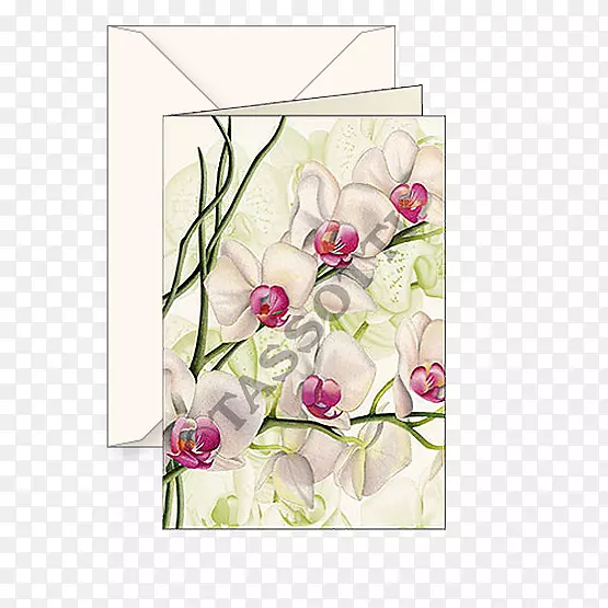 花卉设计纸切花兰花问候和笔记卡.兰花