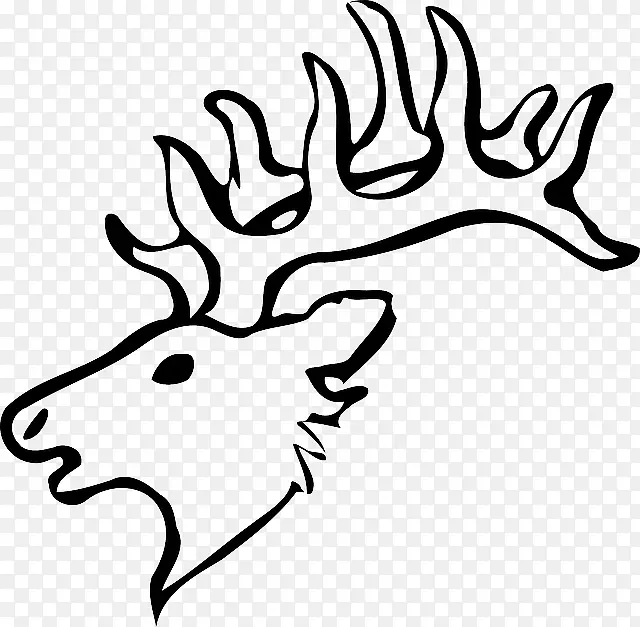 白尾鹿画驯鹿夹艺术鹿头骨