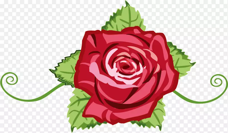 花园玫瑰，卷心菜，玫瑰，花卉设计，插花艺术