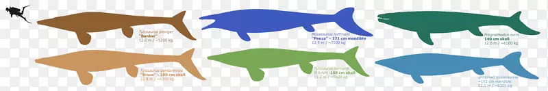 苔藓龙爬行动物霸王龙艺术-海蛇