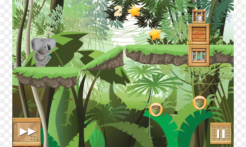 摄影版税-免费生物群落-亚马逊森林