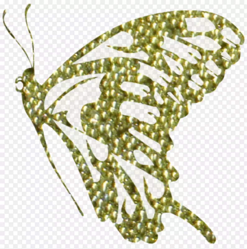 昆虫蝴蝶和飞蛾艺术字体-昆虫