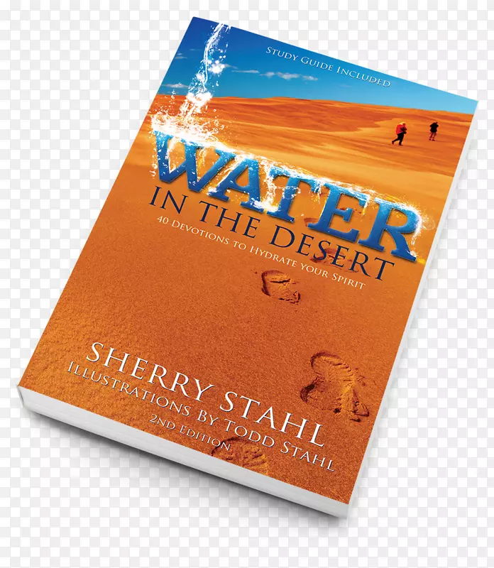 书籍贸易平装书水在沙漠：40个奉献者，以补充你的精神-书