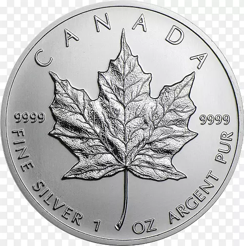 加拿大银枫叶加拿大金枫叶银币-怪兽叶