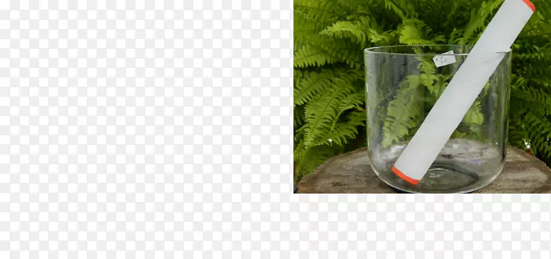 草本植物-水晶碗