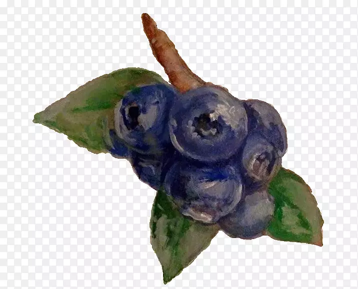 蓝莓紫罗兰花-蓝莓