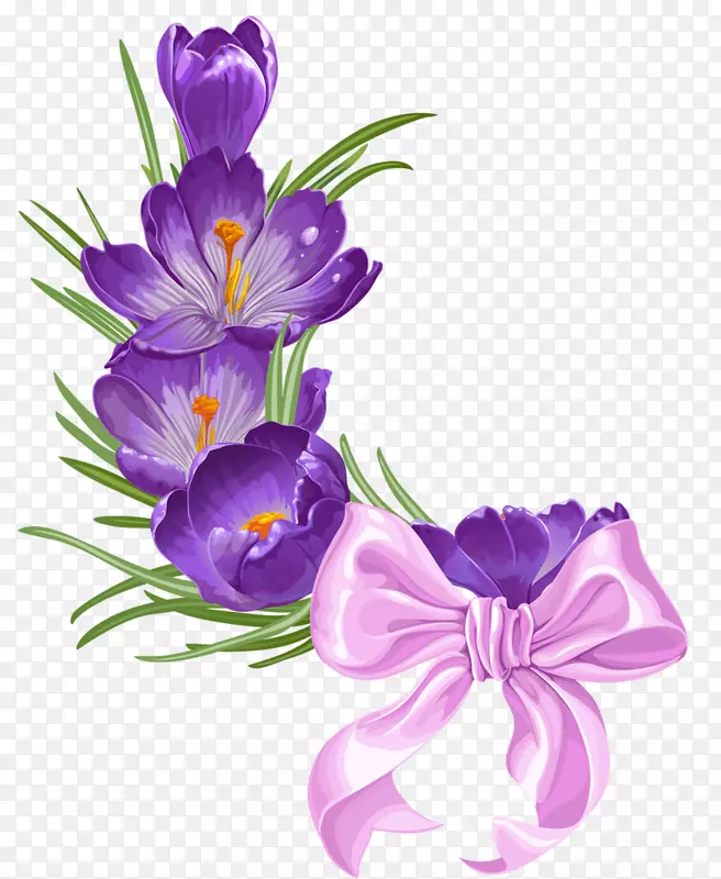切花花型紫罗兰紫花