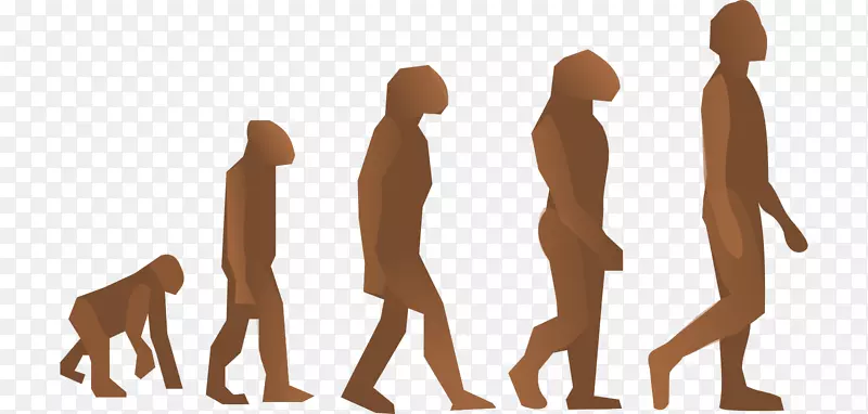 人类进化现代人类剪辑艺术双目视觉的进化